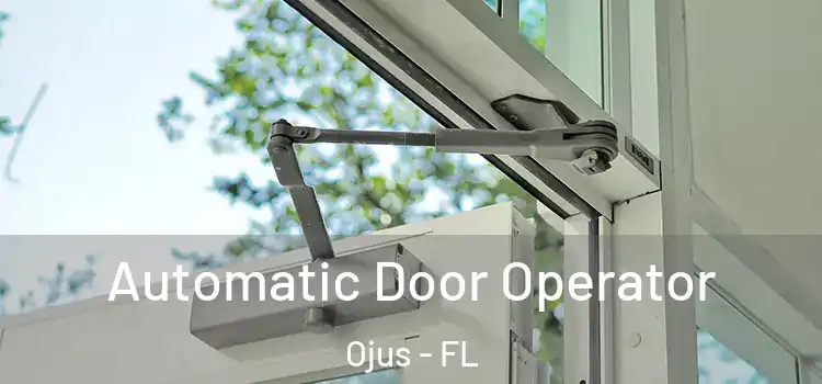  Automatic Door Operator Ojus - FL