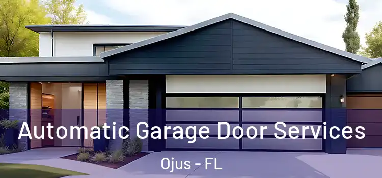  Automatic Garage Door Services Ojus - FL
