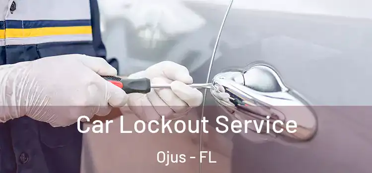  Car Lockout Service Ojus - FL