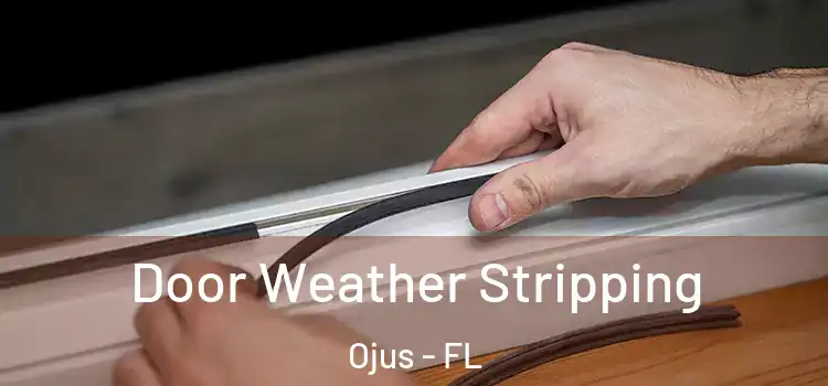  Door Weather Stripping Ojus - FL