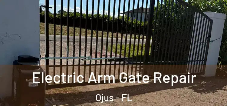 Electric Arm Gate Repair Ojus - FL