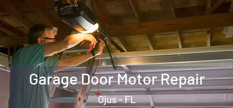  Garage Door Motor Repair Ojus - FL