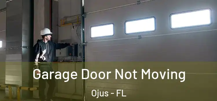 Garage Door Not Moving Ojus - FL