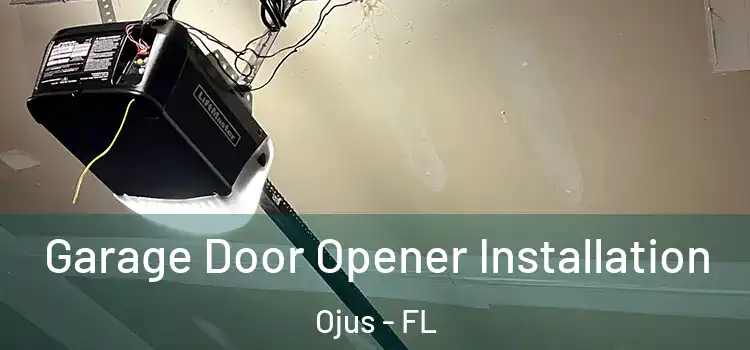  Garage Door Opener Installation Ojus - FL