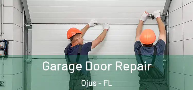  Garage Door Repair Ojus - FL