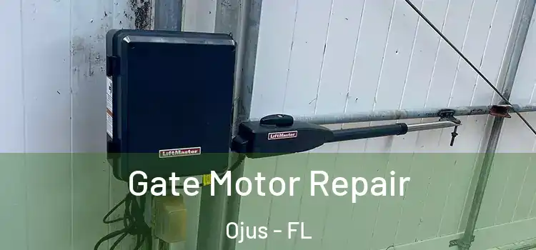  Gate Motor Repair Ojus - FL