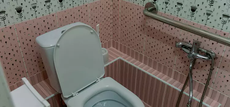 Meeting Diverse Needs With Accessible Restroom Solutions in Ojus, FL