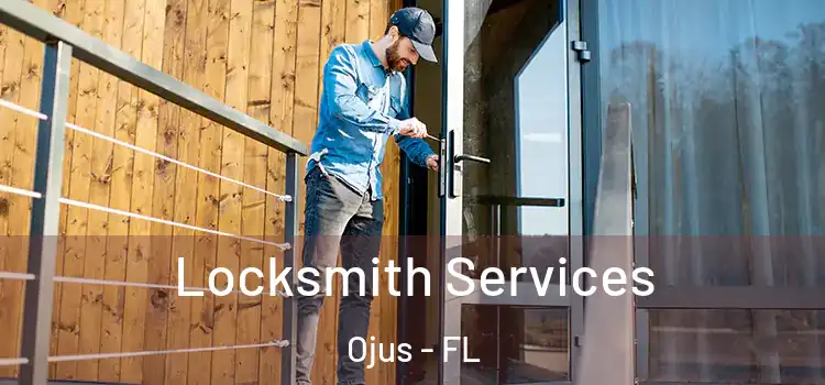 Locksmith Services Ojus - FL