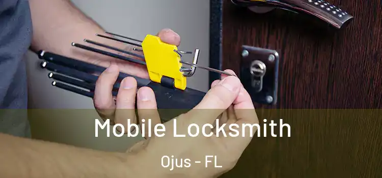 Mobile Locksmith Ojus - FL