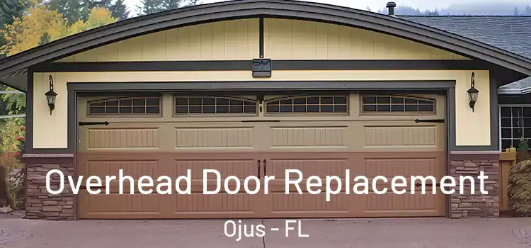  Overhead Door Replacement Ojus - FL