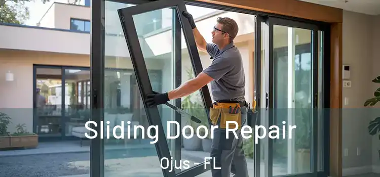 Sliding Door Repair Ojus - FL