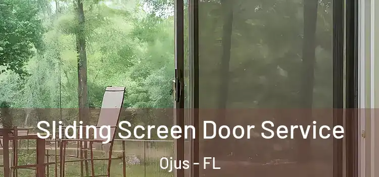 Sliding Screen Door Service Ojus - FL